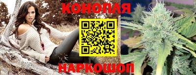 гашик Донской