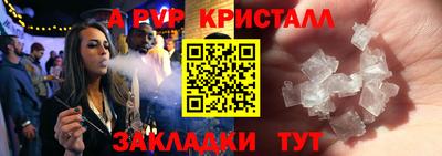 гашик Донской